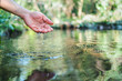 canvas print picture - hand touches  water in the pond