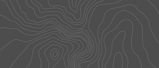 Wall Mural - the stylized height of the topographic map contour in lines and slim contours. black on white. conce