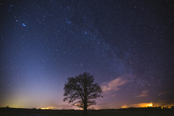Wall Mural - Night landscape image with colorful milky way and zodiac light in the horizon