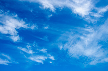Wall Mural - blue sky background with white clouds