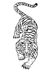 Sticker - Hand Drawn of Black and White Crouching Angry Tiger