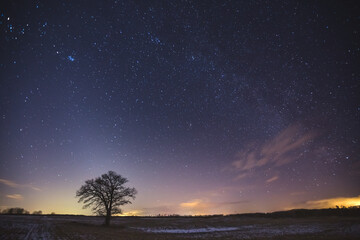 Wall Mural - Night landscape image with colorful milky way and zodiac light in the horizon