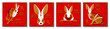 Set of square Chinese New Year vector backgrounds, banners, cards, posters. Oriental zodiac symbol of 2023.  Hieroglyph means Rabbit, Happy New Year. 