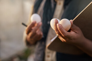 Poster - all ready for distribution. shot of an unrecognisable farmer inspecting the quality of eggs on his f