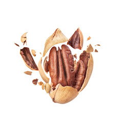 Wall Mural - Pecans fly in different directions