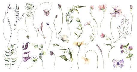 watercolor midsummer flowers collection with hand painted delicate leaves, flowers. romantic floral 