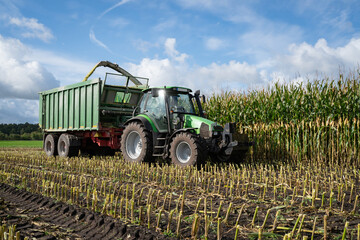 Wall Mural - Maisernte -  Traktor mit Erntewagen fährt neben dem Häcksler her, um das Erntegut zu laden.