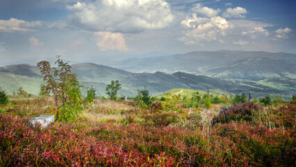 View from Mt Barania Góra towards the town of Węgierska Górka in early autumn, Silesian Beskids, Poland