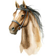 Watercolor horse, Brown horse portrait,hunter jumper, equestrian, horse riding sports