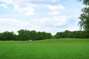 beautiful view of park with green grass on sunny day