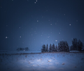 A beautiful, dark winter scenery while snowing. Bright white snowflakes. Snowy landscape of Northern Europe.