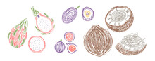 Pitahaya, Passion Fruit, Fig And Coconut. Fruit Bundle. Hand Drawn Vector Illustration. Pen Or Marker Doodle Sketch.
