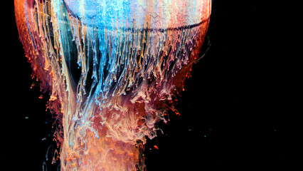 Wall Mural - Colorful ink in water abstract.