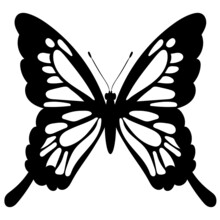 Butterfly Black And White Silhouette, On A White Background, Vector
