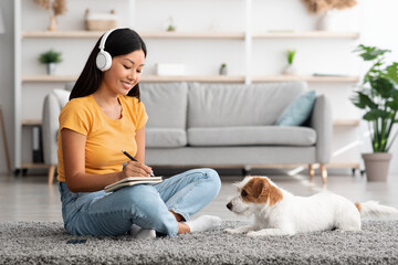 Wall Mural - Loyal dog sitting by its female owner listening to webinar