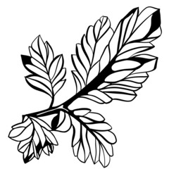 Wall Mural - Monochrome multiple leaf stem in vintage woodcut printing style. Single layer SVG vector graphic suitable for use as digital cut file mask stencil