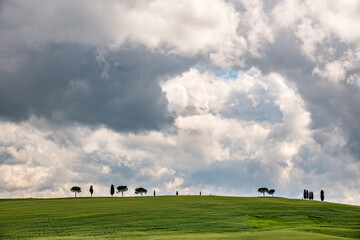 Wall Mural - View of the Scenic Tuscan Countryside