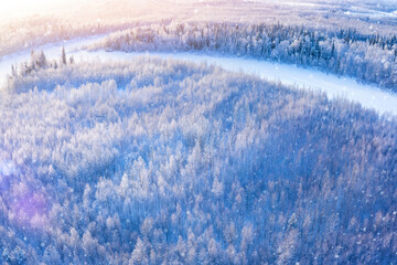 Wall Mural - Winter landscape. Aerial view.  .Colorful landscape with frosty forest in clear weather. Birch grove covered with snow