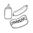 Hot dog and mustard bottle vector illustration in sketch style isolated on white background. Hot dog doodle drawing
