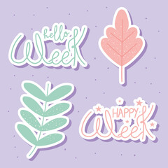 Wall Mural - hello week designs and leaves