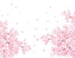 © MerciArtworks - 美しく華やかな満開の薄いピンク色の桜の花と花びら舞い散る春の白バックフレームベクター素材イラスト