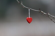 Close-up Of Red Heart Hanging On Tree