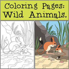 Wall Mural - Coloring Pages: Wild Animals. Mother jerboa with her little cute baby.