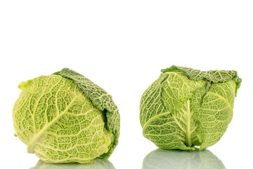 Two bales of organic Savoy cabbage , macro, isolated on white.