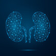 Human kidney with low poly glowing connected dots. Futuristic internal organ with triangular blue shapes. Vector isolated on dark blue background.