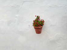 One Ceramic Pot With Red Flowers Hanging On A White Rustic Textured Wall. Background With Copy Space