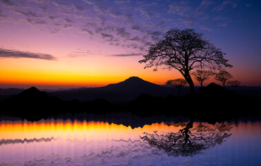 Wall Mural - silhouette tree and mountain in africa with sunset.tree silhouetted against a setting sun reflection
