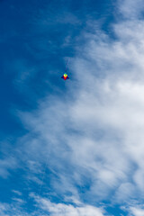 Wall Mural - colorful kites flying over the sky