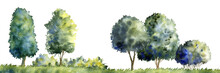 Watercolor Drawing Summer Landscape With Trees Silhouettes At White Background, Natural Template, Hand Drawn Illustration