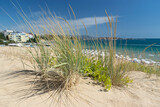 Fototapeta Morze - Sunny beach with sand dunes and blue sky in Bulgaria