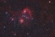 Flaming star nebula (IC405),emission and reflection nebula in the constellation Auriga.
