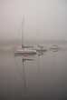 sailboats in the fog, Bedford, Nova Scotia