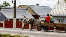 Horse And Carriage In Romania