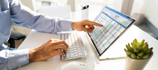 Poster - Electronic Spreadsheet Analyst Or Auditor Using Software