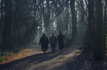 Three Women Walking In Woods With Sun Rays.
