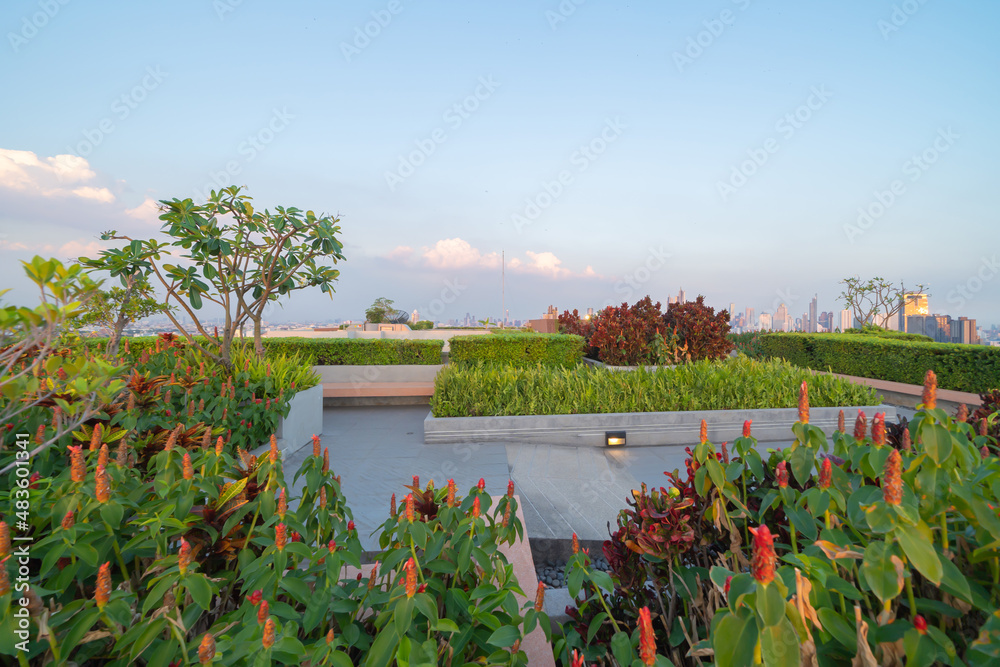 Sky garden on private rooftop of condominium or hotel, high rise ...