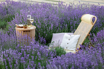 Sticker - Glass of white wine in a lavender field. Violet flowers on the background.