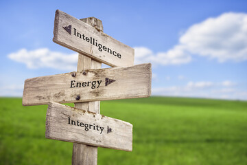 intelligence energy integrity text quote on wooden signpost outdoors on green field.