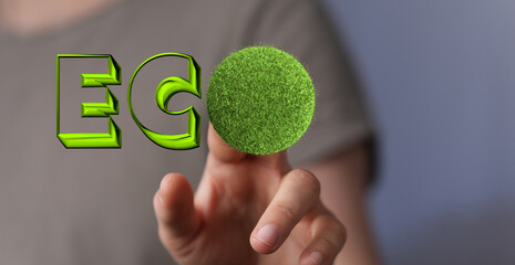 Poster - Eco word on the background of green leaves of carrots. plantation