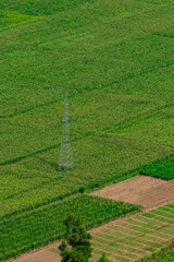 Poster - An aerial beautiful landscape view of green grass fields and green meadows