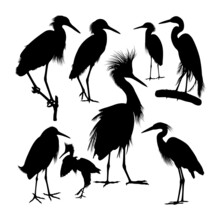 Snowy Egret Bird Silhouettes. Good Use For Symbol, Logo, Icon, Mascot, Sign Or Any Design You Want.