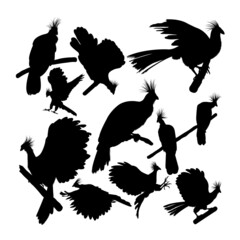 Wall Mural - Hoatzin bird silhouettes. Good use for symbol, logo, icon, mascot, sign or any design you want.