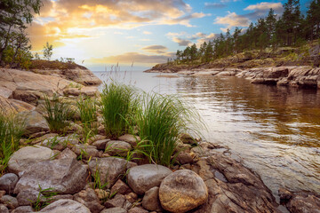 Wall Mural - Ladoga in Karelia. Northern Russia. Rivers of Karelia. Sunset over Lake Ladoga. Northern nature landscape. Dawn over Ladoga. Rest in Karelian Republic. Russian Federation. Regions of Russia.