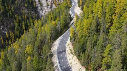 Wall Mural - a road through a green forest. aerial landscape. summer landscape from the air in switzerland. fores