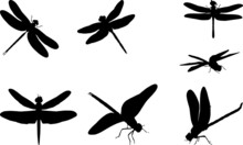 Dragonfly Silhouettes PNG SVG EPS Dragonfly Vector Dragonfly Clipart