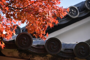 Canvas Print - 京都大本山天龍寺の日本庭園の紅葉と屋根瓦の風景